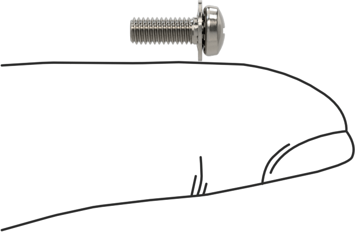 Paslanmaz Çelik Silindir Başlı Vidalar, İç Dişli Pullu, M3 x 0,5 mm Dişli, 8 mm Uzunluk