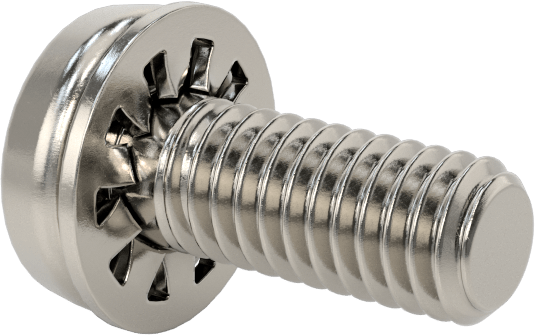 Paslanmaz Çelik Silindir Başlı Vidalar, İç Dişli Pullu, M4 x 0,7 mm Diş, 10 mm Uzunluk