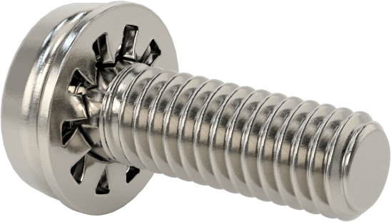 Paslanmaz Çelik Silindir Başlı Vidalar, İç Dişli Pullu, M4 x 0,7 mm Diş, 12 mm Uzunluk
