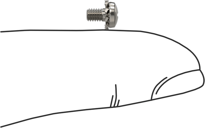 Paslanmaz Çelik Silindir Başlı Vidalar, Dış Dişli Pul ile, M2,5 x 0,45 mm Diş, 4 mm Uzunluk