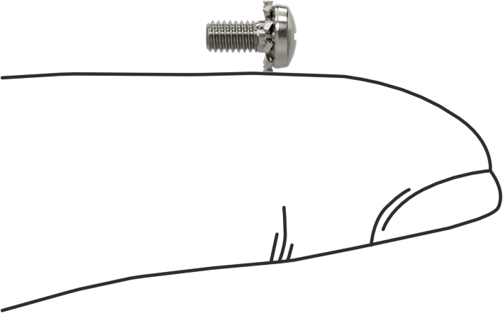 Paslanmaz Çelik Silindir Başlı Vidalar, Dış Dişli Pul ile, M2,5 x 0,45 mm Diş, 5 mm Uzunluk
