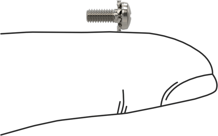 Paslanmaz Çelik Silindir Başlı Vidalar, Dış Dişli Pul ile, M2,5 x 0,45 mm Diş, 6 mm Uzunluk