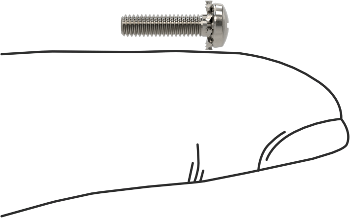 Paslanmaz Çelik Silindir Başlı Vidalar, Dış Dişli Pul ile, M2,5 x 0,45 mm Diş, 10 mm Uzunluk