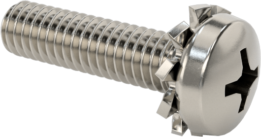 Paslanmaz Çelik Silindir Başlı Vidalar, Dış Dişli Pul ile, M2,5 x 0,45 mm Diş, 10 mm Uzunluk