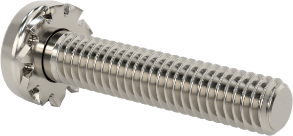Paslanmaz Çelik Silindir Başlı Vidalar, Dış Dişli Pul ile, M4 x 0,7 mm Diş, 20 mm Uzunluk