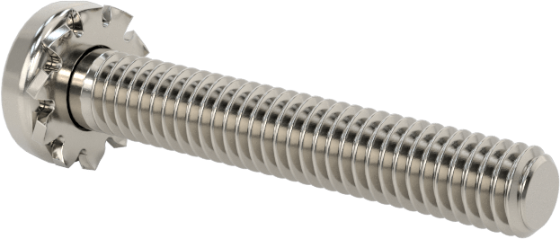 Paslanmaz Çelik Silindir Başlı Vidalar, Dış Dişli Pul ile, M4 x 0,7 mm Diş, 25 mm Uzunluk
