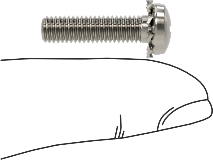 Paslanmaz Çelik Silindir Başlı Vidalar, Dış Dişli Kilit Pul, M5 x 0,8 mm Diş, 20 mm Uzunluk