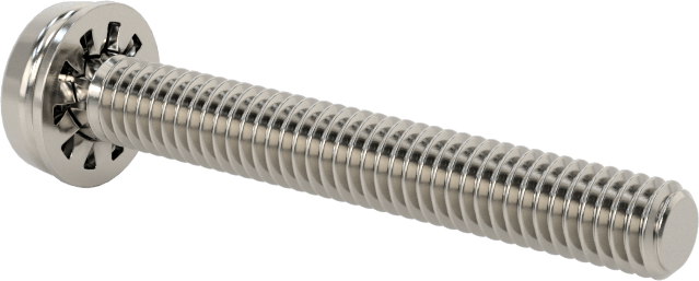 Paslanmaz Çelik Silindir Başlı Vidalar, İç Dişli Pul, M4 x 0,7 mm Diş, 30 mm Uzunluk