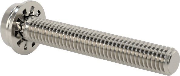 Paslanmaz Çelik Silindir Başlı Vidalar, İç Dişli Pul, M3 x 0,5 mm Dişli, 20 mm Uzunluk