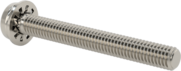 Paslanmaz Çelik Silindir Başlı Vidalar, İç Dişli Pul, M3 x 0,5 mm Dişli, 25 mm Uzunluk