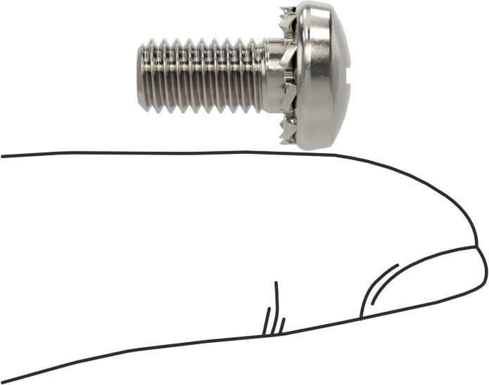 Paslanmaz Çelik Silindir Başlı Vidalar, Dış Dişli Pul ile, M6 x 1 mm Diş, 12 mm Uzunluk
