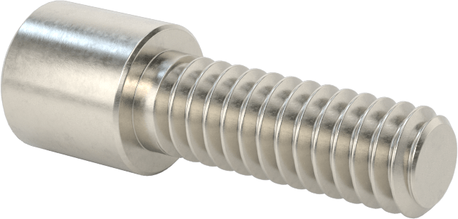 Yüksek Profilli Soket Başlı Vida, 18-8 Paslanmaz Çelik, 1/4"-20 Diş Boyutu, 3/4" Uzunluk