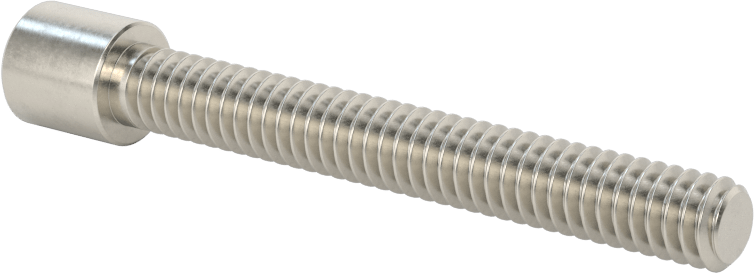Yüksek Profilli Soket Başlı Vida, 18-8 Paslanmaz Çelik, 1/4"-20 Diş Boyutu, 2" Uzunluk