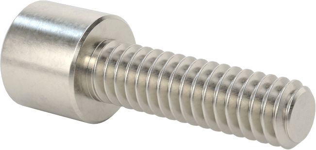 Kare Uçlu Anahtarlar için Soket Başlı Vida, 18-8 Paslanmaz Çelik, 1/4"-20 Diş Boyutu, 7/8" Uzunluk