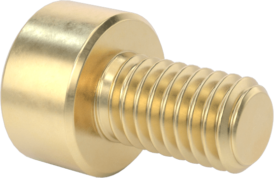 Pirinç Soket Başlı Vida, M3 x 0,50 mm Diş, 5 mm Uzunluk