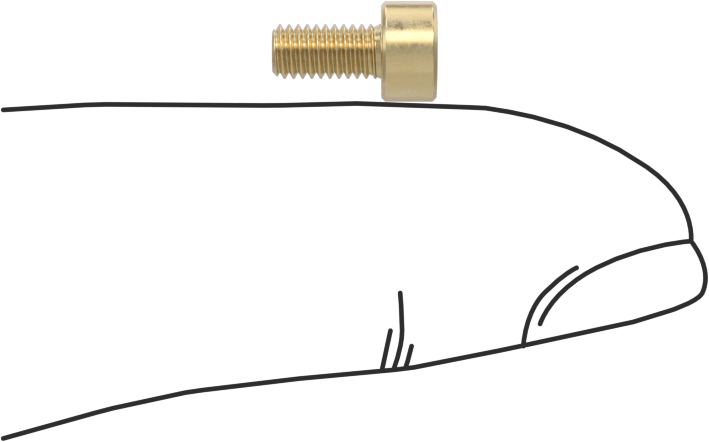Pirinç Soket Başlı Vida, M3 x 0,50 mm Diş, 6 mm Uzunluk