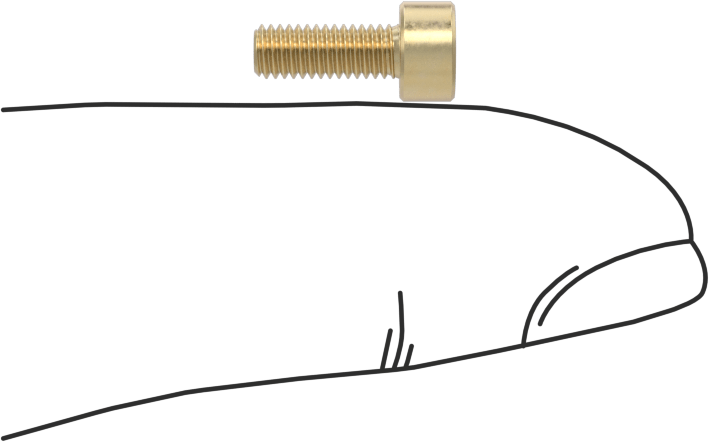 Pirinç Soket Başlı Vida, M3 x 0,50 mm Diş, 8 mm Uzunluk
