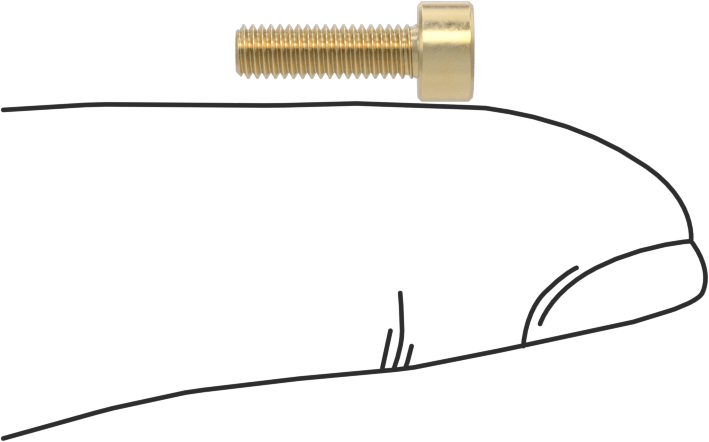 Pirinç Soket Başlı Vida, M3 x 0,50 mm Diş, 10 mm Uzunluk