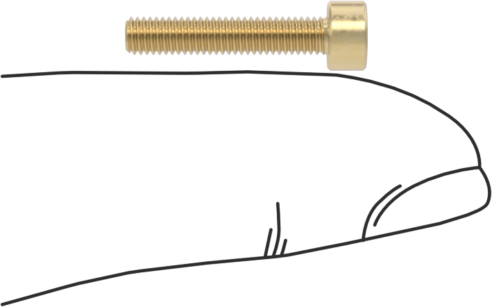 Pirinç Soket Başlı Vida, M3 x 0,50 mm Diş, 16 mm Uzunluk