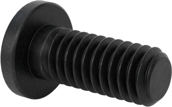 Ultra Düşük Profilli Soket Başlı Vida, Alaşımlı Çelik, M2,5 x 0,45 mm Diş, 6 mm Uzunluk
