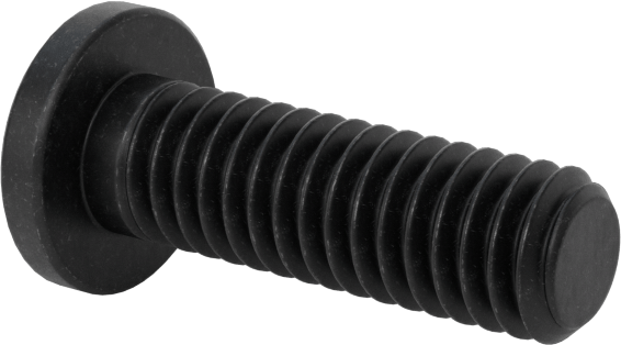 Ultra Düşük Profilli Soket Başlı Vida, Alaşımlı Çelik, M2,5 x 0,45 mm Diş, 8 mm Uzunluk