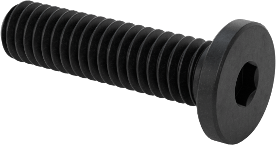 Ultra Düşük Profilli Soket Başlı Vida, Alaşımlı Çelik, M2,5 x 0,45 mm Diş, 10 mm Uzunluk