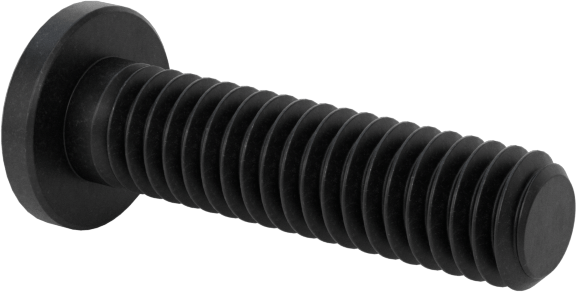 Ultra Düşük Profilli Soket Başlı Vida, Alaşımlı Çelik, M2,5 x 0,45 mm Diş, 10 mm Uzunluk