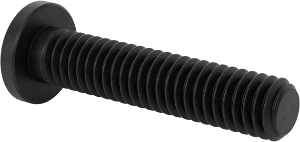 Ultra Düşük Profilli Soket Başlı Vida, Alaşımlı Çelik, M2,5 x 0,45 mm Diş, 12 mm Uzunluk