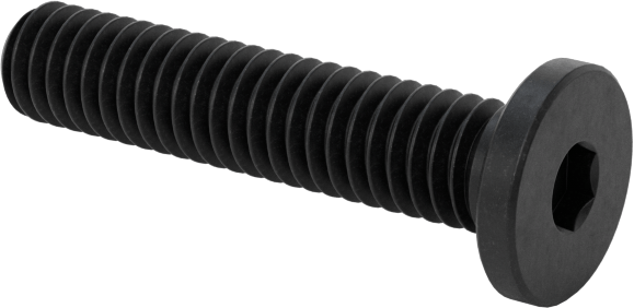 Ultra Düşük Profilli Soket Başlı Vida, Alaşımlı Çelik, M2,5 x 0,45 mm Diş, 12 mm Uzunluk