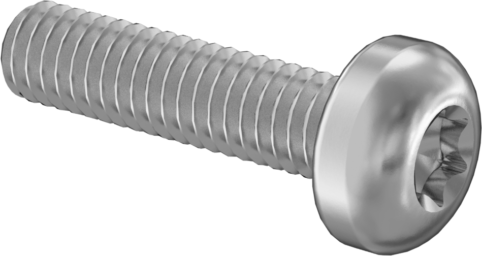 18-8 Paslanmaz Çelik Silindir Başlı Torx Vidalar, M2,5 x 0,45 mm Diş Boyutu, 10 mm Uzunluk