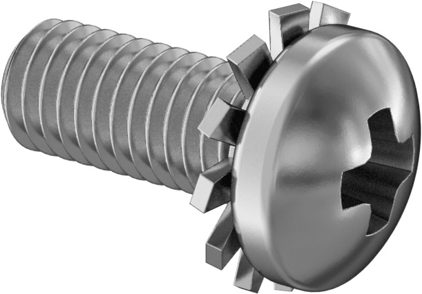 Çelik Silindir Başlı Vidalar, Dış Dişli Kilit Pul, M5 x 0,8 mm Diş, 12 mm Uzunluk