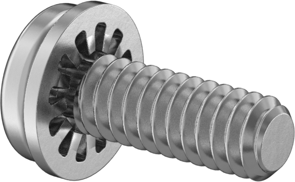 Çelik Silindir Başlı Vidalar, İç Dişli Kilit Pul ile, 2-56 Diş, 1/4" Uzunluk
