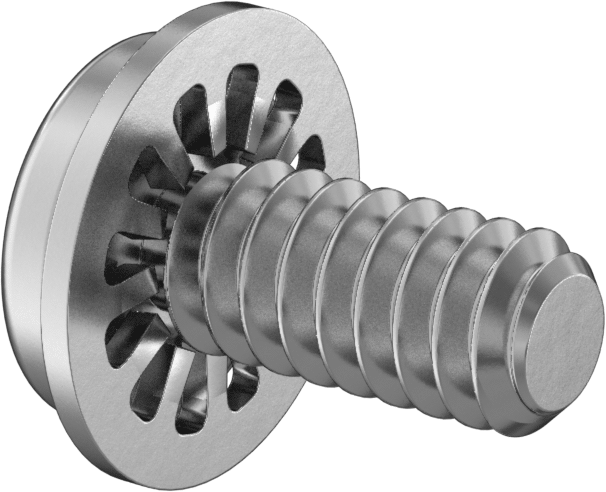 Çelik Silindir Başlı Vidalar, İç Dişli Kilit Pul ile, 4-40 Diş, 1/4" Uzunluk