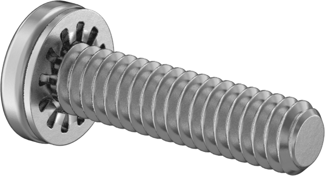 Çelik Silindir Başlı Vidalar, İç Dişli Kilit Pul ile, 1/4"-20 Diş, 1" Uzunluk