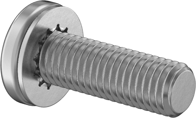 Çelik Silindir Başlı Vidalar, İç Dişli Kilit Pul ile, 1/4"-28 Diş, 3/4" Uzunluk