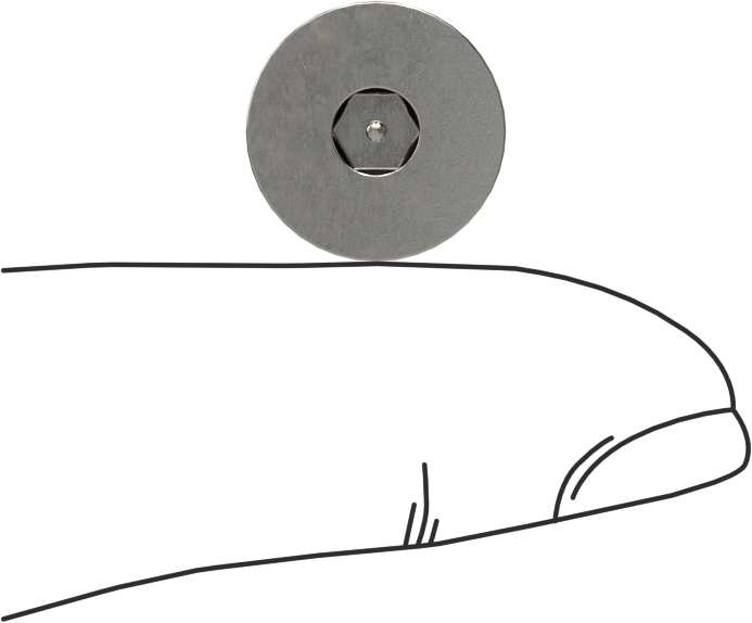 Kurcalanmaya Dayanıklı Altıgen Tahrikli 18-8 Paslanmaz Çelik Düz Başlı Vidalar, 1/4"-20 Diş Boyutu, 1/2" Uzunluk
