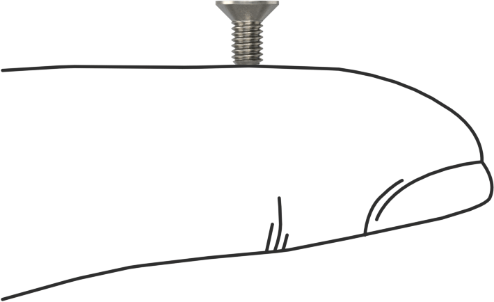 Havalandırma 18-8 Paslanmaz Çelik Altıgen Soketli Düz Başlı Vida, M2,5 x 0,45 mm Diş Boyutu, 5 mm Uzunluk