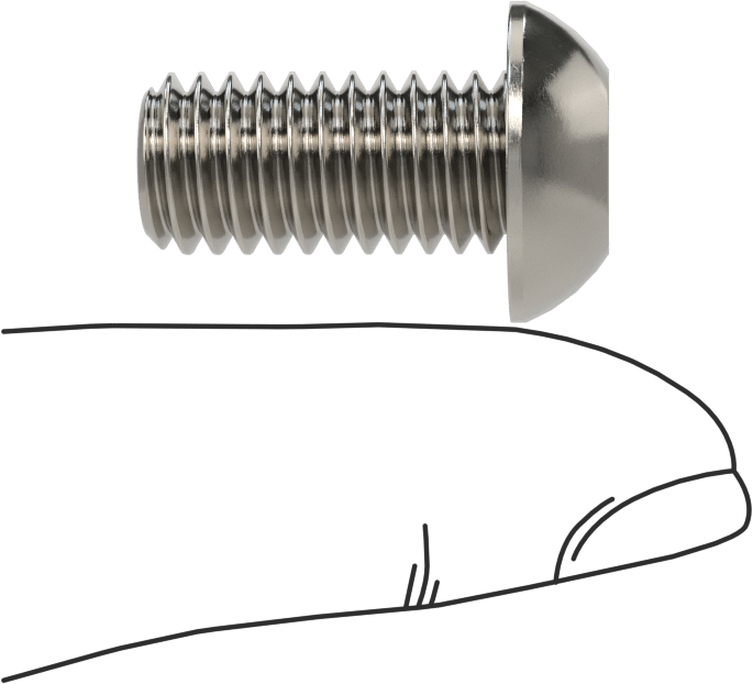18-8 Paslanmaz Çelik Düğme Başlı Torx Vidalar, 3/8"-16 Diş, 3/4" Uzunluk
