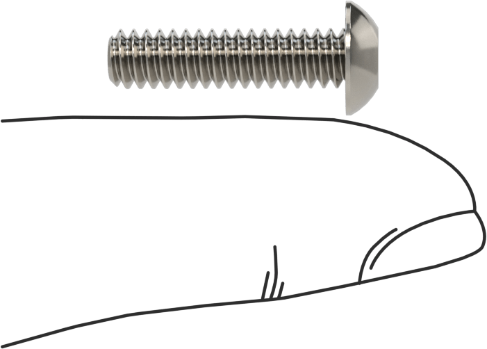 18-8 Paslanmaz Çelik Düğme Başlı Torx Vidalar, 10-24 Diş, 3/4" Uzunluk