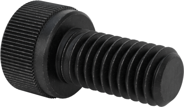 Sol Dişli Alaşımlı Çelik Soket Başlı Vida, M6 x 1 mm Diş, 12 mm Uzunluk