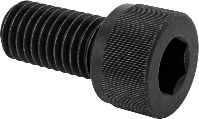 Sol Dişli Alaşımlı Çelik Soket Başlı Vida, M10 x 1,5 mm Diş, 20 mm Uzunluk
