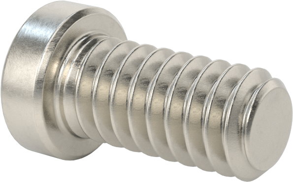 Süper Korozyona Dayanıklı 316 Paslanmaz Çelik Soket Başlı Vida, Düşük Profilli, 1/4"-20 Diş Boyutu, 1/2" Uzunluk