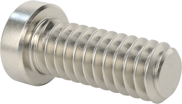 Süper Korozyona Dayanıklı 316 Paslanmaz Çelik Soket Başlı Vida, Düşük Profilli, 1/4"-20 Diş Boyutu, 5/8" Uzunluk