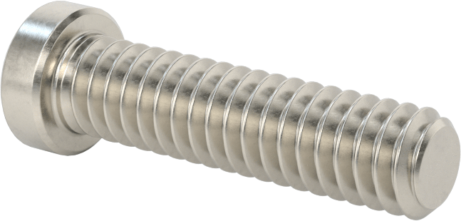 Süper Korozyona Dayanıklı 316 Paslanmaz Çelik Soket Başlı Vida, Düşük Profilli, 1/4"-20 Diş Boyutu, 1" Uzunluk