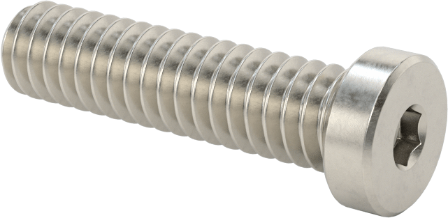 Süper Korozyona Dayanıklı 316 Paslanmaz Çelik Soket Başlı Vida, Düşük Profilli, 1/4"-20 Diş Boyutu, 1" Uzunluk