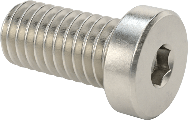 Süper Korozyona Dayanıklı 316 Paslanmaz Çelik Soket Başlı Vida, Düşük Profilli, 3/8"-16 Diş Boyutu, 3/4" Uzunluk