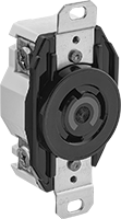 9081T55
