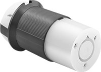 9081T75