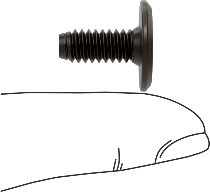 Ahşap için Bağlama Vidaları, Bronz Kaplama, 1/4“-20, 0,591” Diş Uzunluğu, 0,591“ Uzunluk, 0,669” Baş