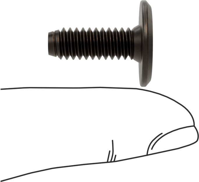 Ahşap için Bağlama Vidaları, Bronz Kaplama, 1/4“-20, 0,708” Diş Uzunluğu, 0,708“ Uzunluk, 0,669” Baş
